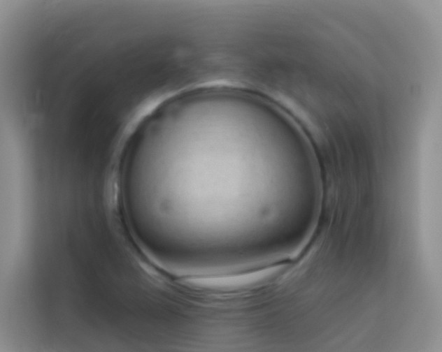 X0000114071367200910051329