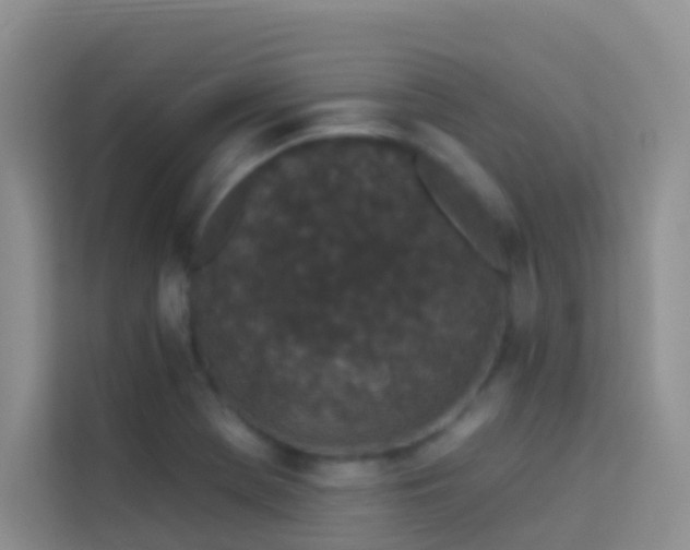 X0000114071369200910051329