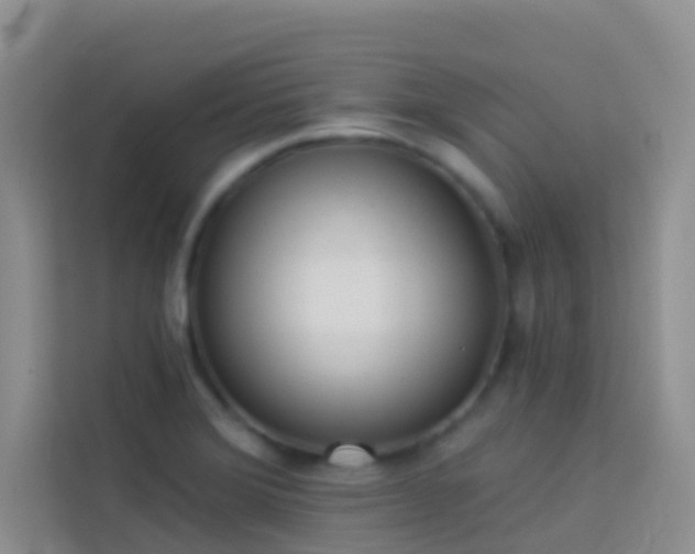 X0000114071372200910051329