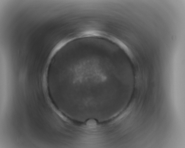 X0000114071373200910051329