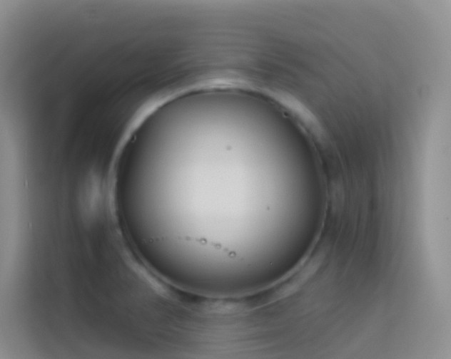 X0000114071374200910051329