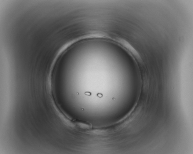 X0000114071380200910051329