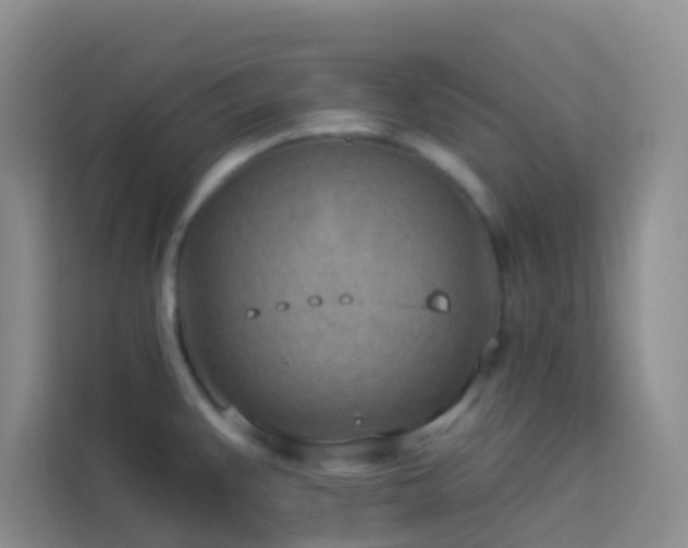 X0000114071383200910051329