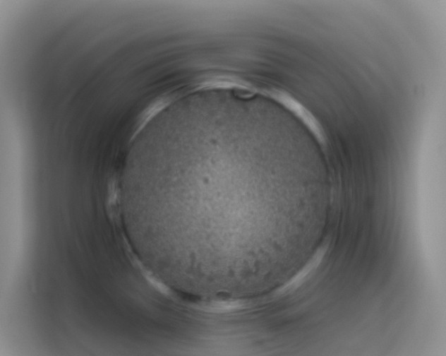 X0000114071385200910051329