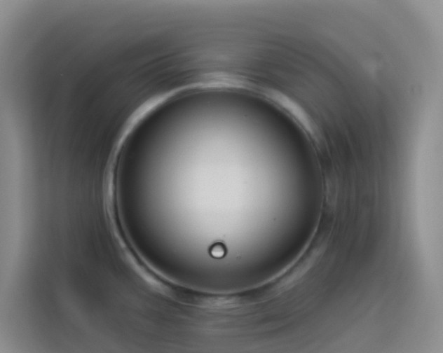 X0000114071387200910051329