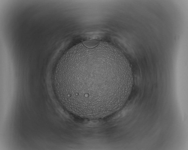 X0000114071393200910051329