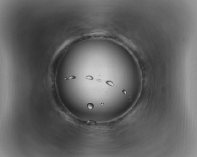 X0000114071400200910051329