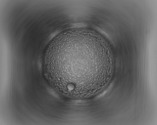 X0000114071401200910051329