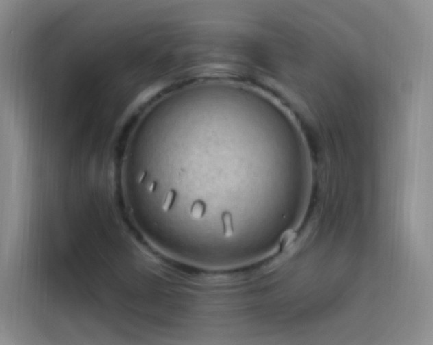 X0000114071402200910051329