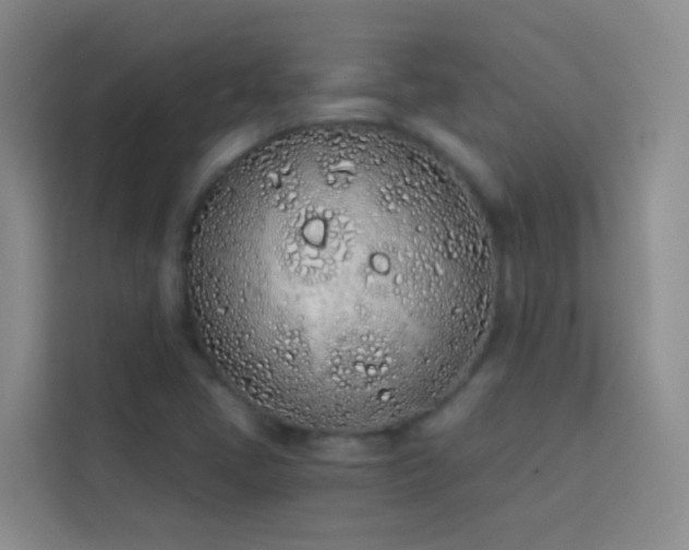 X0000114071405200910051329