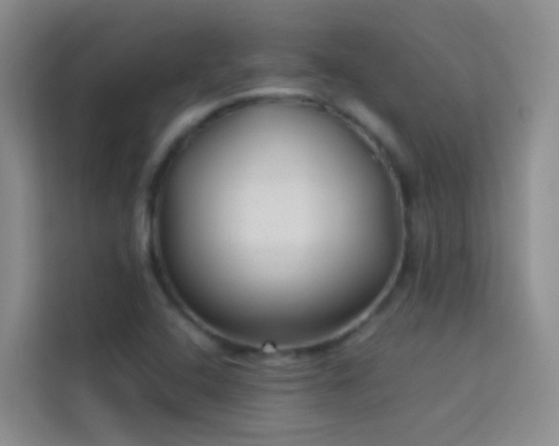 X0000114071408200910051329