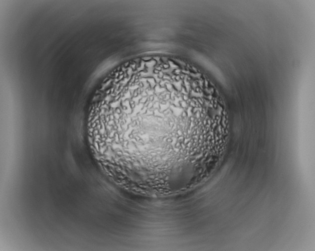 X0000114071411200910051329