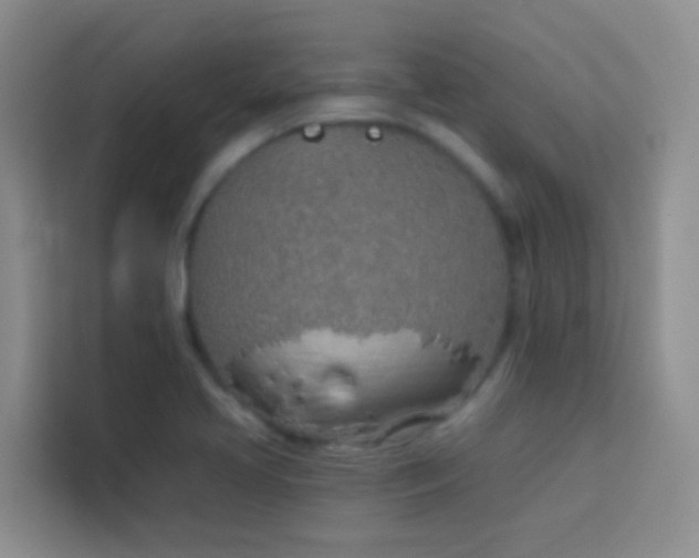 X0000114071413200910051329