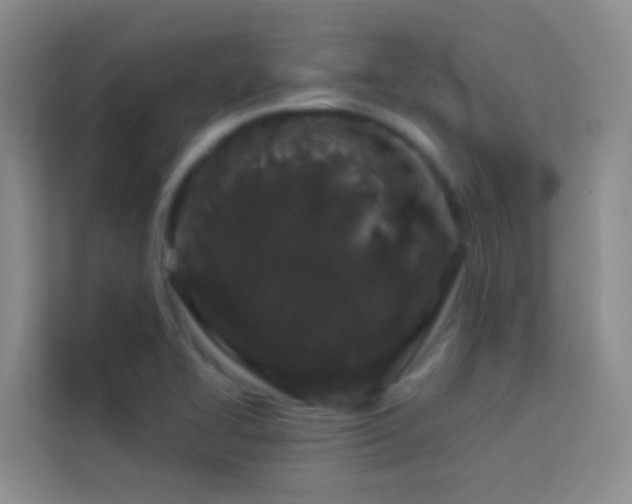 X0000114071414200910051329