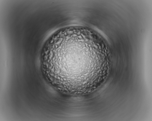 X0000114071415200910051329