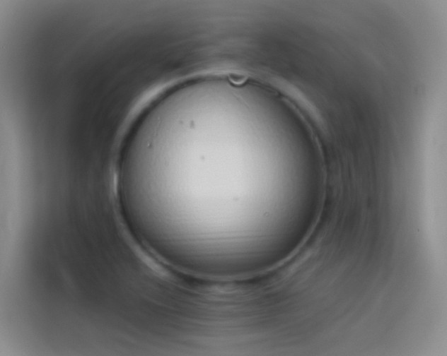 X0000114071416200910051329