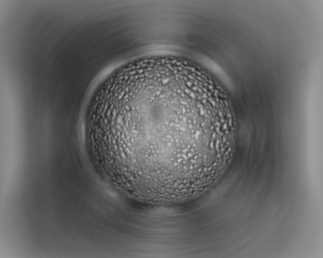 X0000114071419200910051329