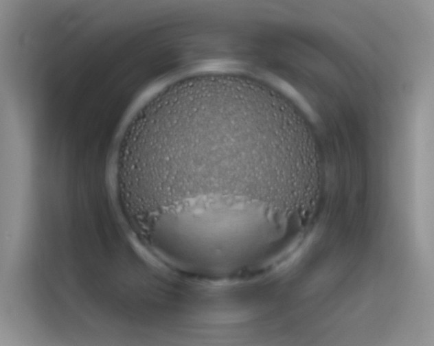 X0000114071421200910051329