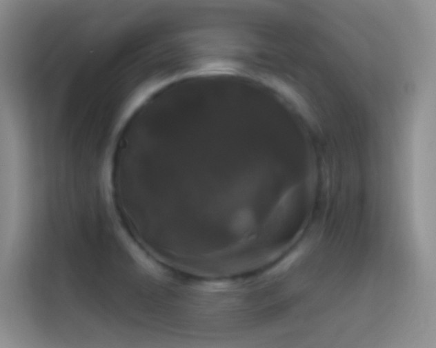 X0000114071422200910051329