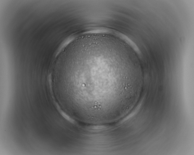 X0000114071425200910051329