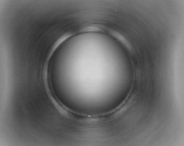 X0000114071426200910051329