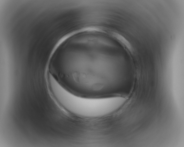 X0000114071428200910051329