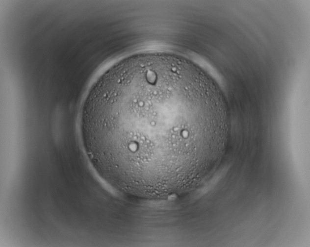 X0000114071429200910051329