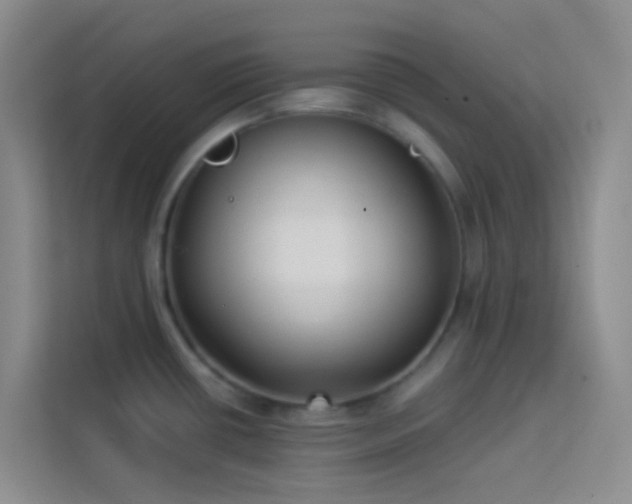 X0000114071434200910051329