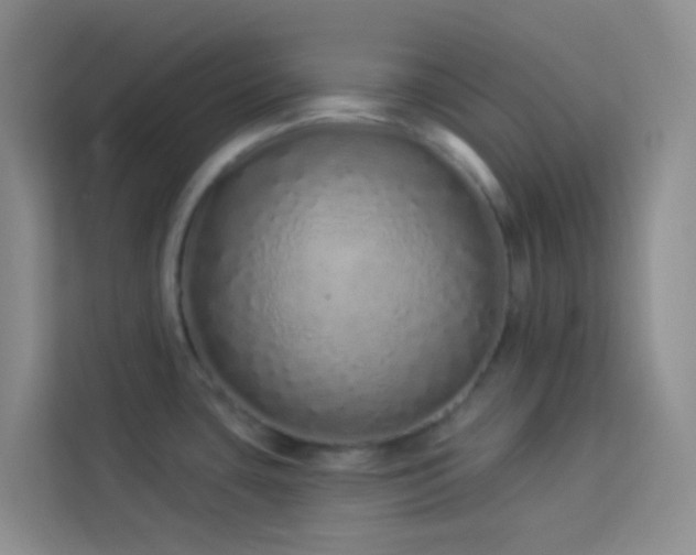 X0000114071435200910051329