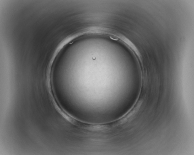 X0000114071437200910051329