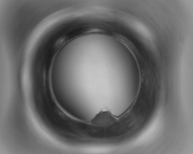 X0000114071439200910051329