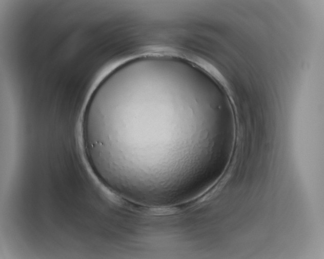 X0000114071440200910051329