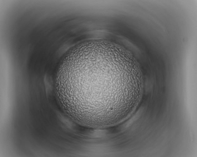 X0000114071449200910051328