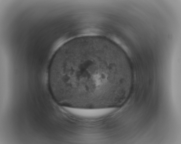 X0000114071459200910051328