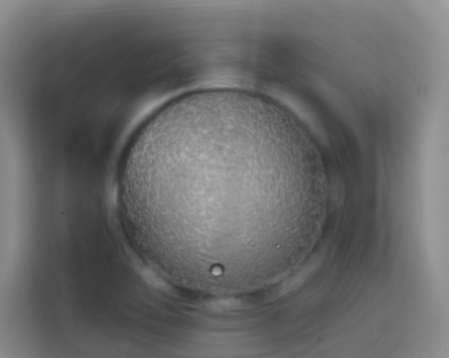 X0000114071462200910051328