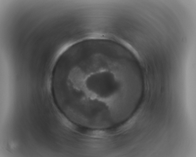 X0000114071463200910051328