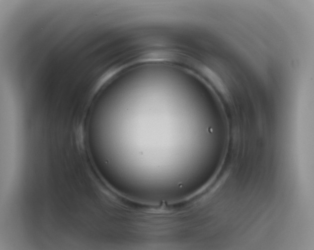 X0000114071465200910051328