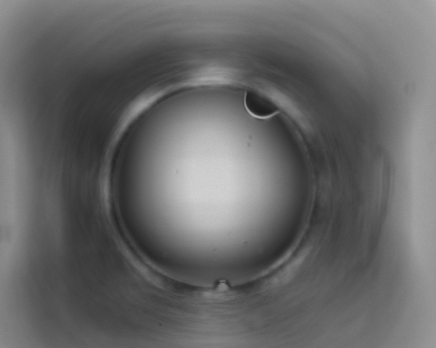 X0000114071469200910051328