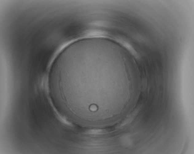 X0000114071470200910051328