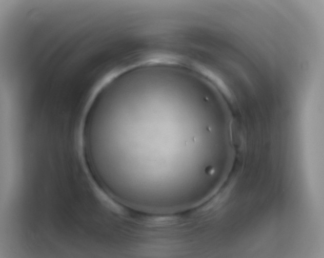 X0000114071471200910051328