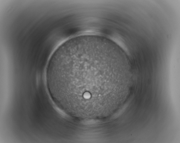 X0000114071474200910051328