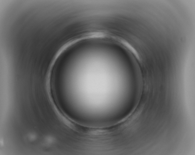 X0000114071475200910051328
