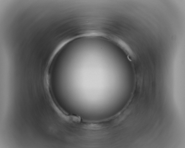 X0000114071476200910051328