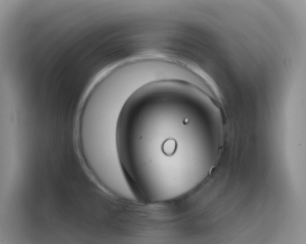 X0000114071477200910051328