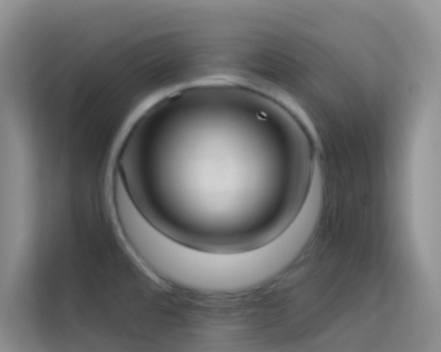 X0000114071480200910051328