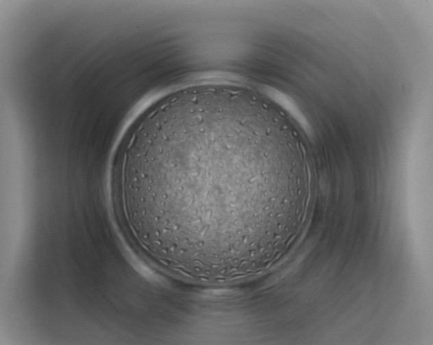 X0000114071482200910051328