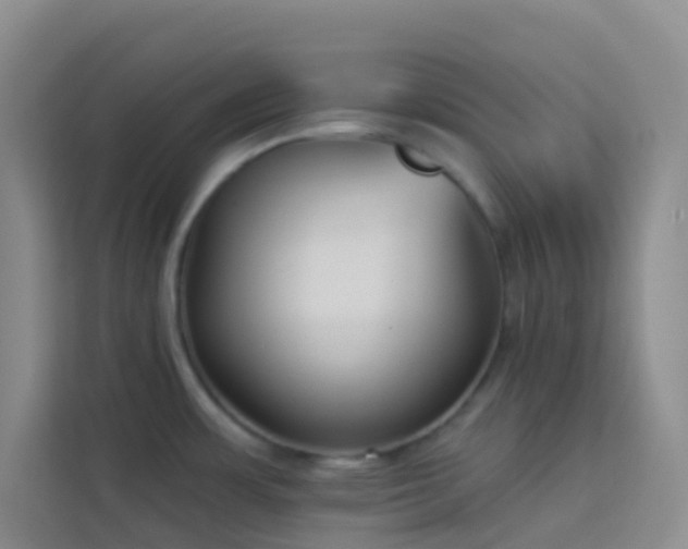 X0000114071483200910051328
