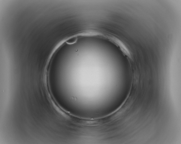 X0000114071484200910051328