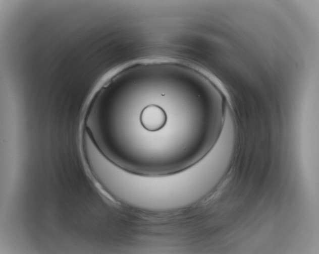 X0000114071485200910051328