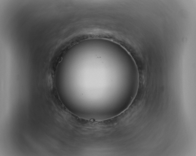 X0000114071493200910051327
